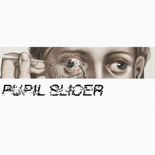 Pupil Slicer : Pupil Slicer